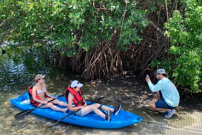 Miami Kayak and Paddleboard Rentals in Virginia Key - Wildlife spotting that feels real, not staged
