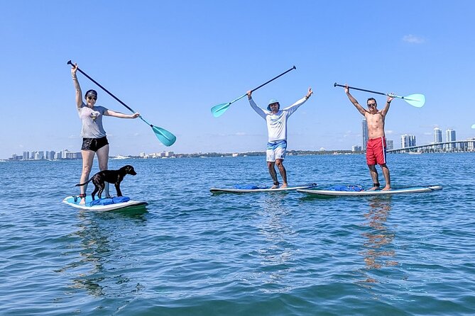 Miami Kayak and Paddleboard Rentals on Biscayne Bay - Your hour on the water: what the route experience feels like