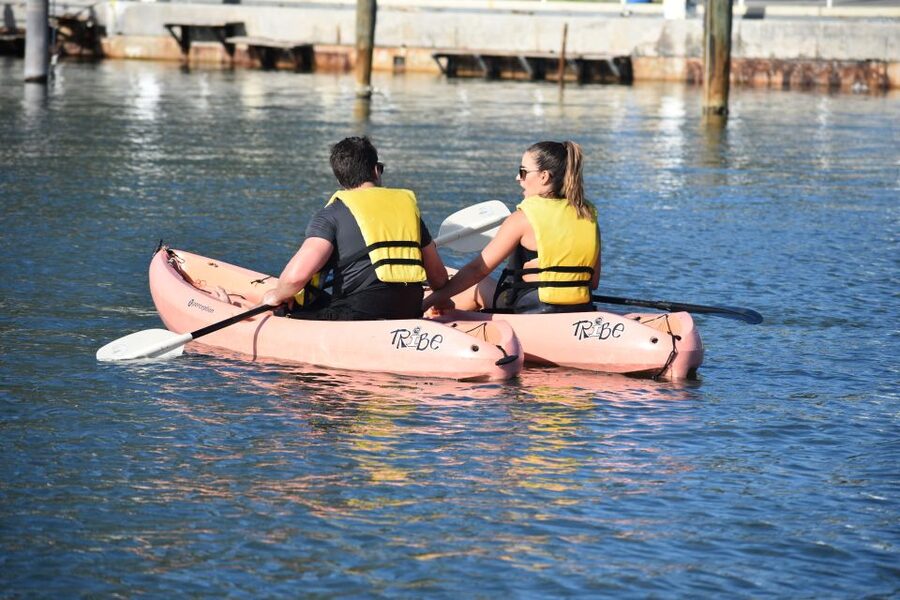 Miami: Kayak or Paddleboard Rental - Who This Biscayne Bay Rental Suits Best