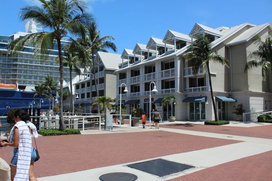 Miami: Key West Boat Tour w/ Optional Snorkeling & Open Bar - Wildlife spotting tips that make the water time better