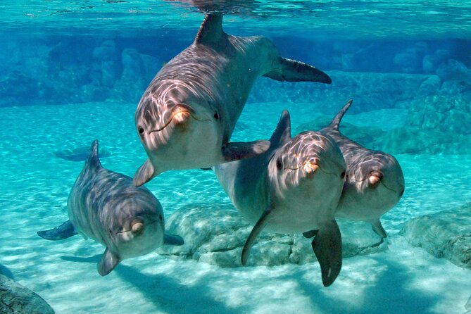 MIAMI: Key West Day Trip with Snorkel or Glassbottom Boat - Key West time on your own: how to use 6 hours well