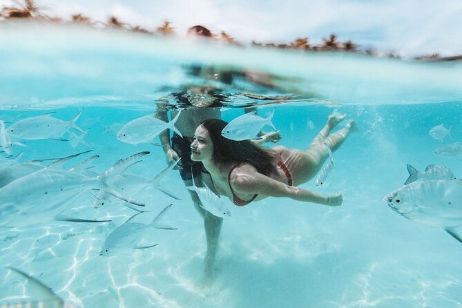 MIAMI: Key West Day Trip with Snorkel or Glassbottom Boat - Weather, sea conditions, and why you should pack for a plan B