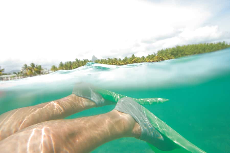 Miami: Key West Dolphin Watch or Snorkel Boat with pickup - Price and Value: Is $63 Worth It?