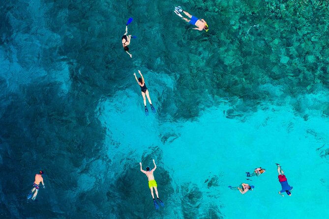 MIAMI: Key West Dolphin Watch Tour - FAQ