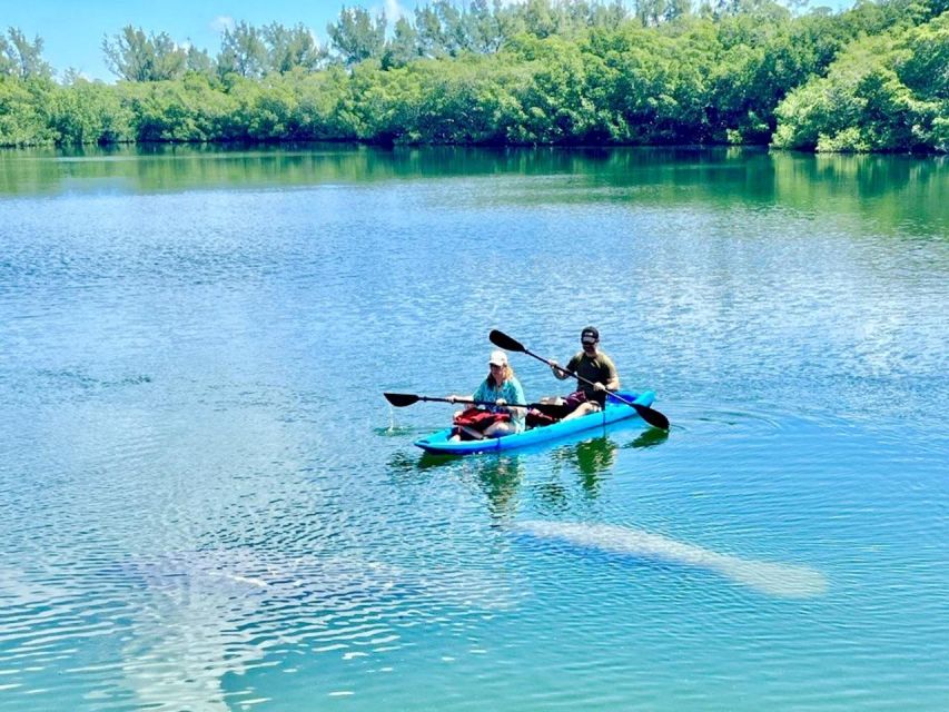 Miami: Manatee Season Paddleboard or Kayak Tour - Who should book this manatee season paddle or kayak tour?