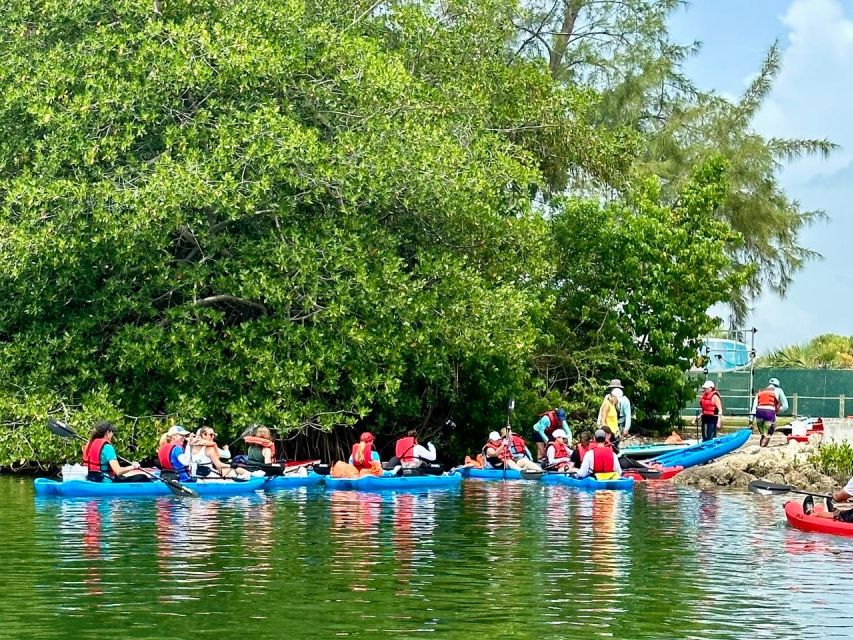 Miami: Manatee Season Paddleboard or Kayak Tour - Starting at Virginia Key Beach Park, 3801 Arthur Lamb Jr Rd