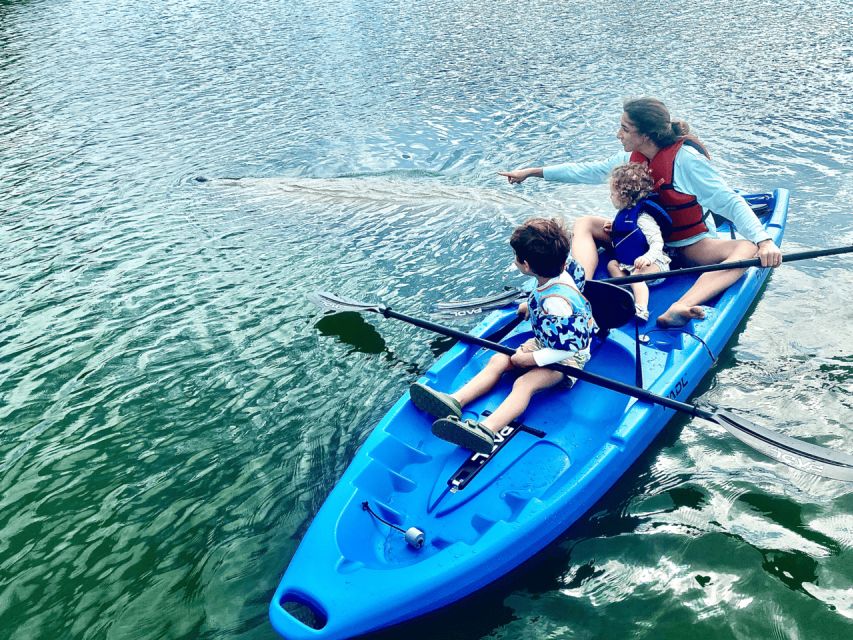 Miami: Manatee Season Paddleboard or Kayak Tour - Lamar Lake, Biscayne Bay, and the Atlantic coast, and how wind changes your route