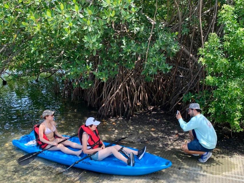 Miami: Manatee Season Paddleboard or Kayak Tour - Paddleboard vs. kayak: what will feel easier on the water