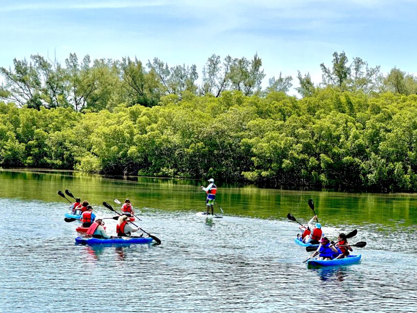 Miami: Manatee Season Paddleboard or Kayak Tour - What $85 gets you, and where you may spend extra