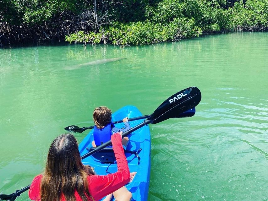 Miami: Manatee Season Paddleboard or Kayak Tour - How the experience feels on a real day: calm, guided, and photo-worthy