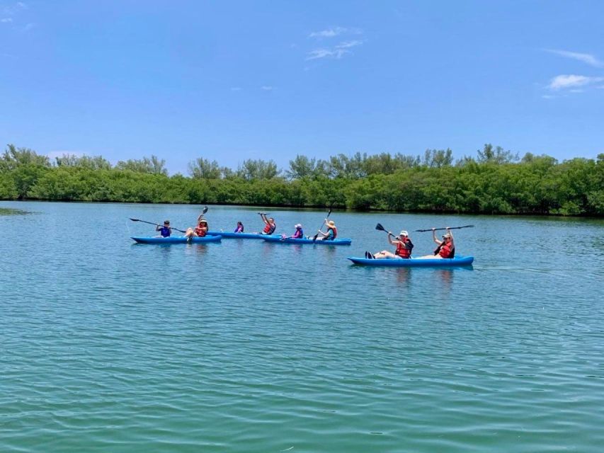 Miami: Manatee Season Paddleboard or Kayak Tour - Manatee season in Biscayne Bay, what you are actually trying to see