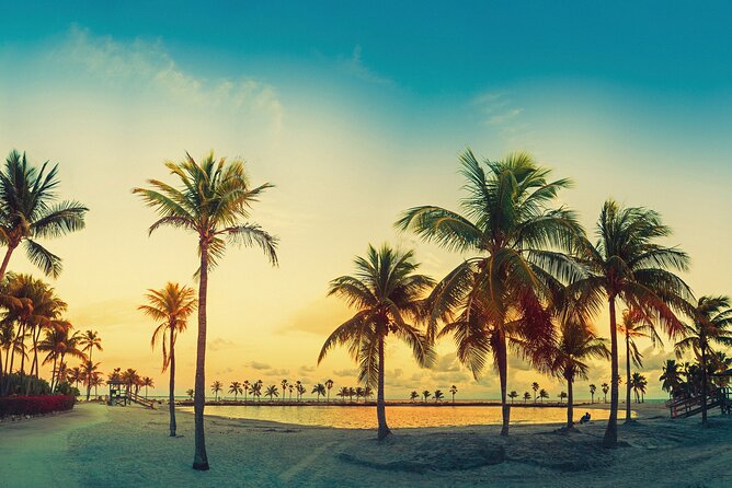 Miami: Open-top Bus Sightseeing Night Tour with Live Guide - Open-top double-decker at night: photos are great, but plan for wind