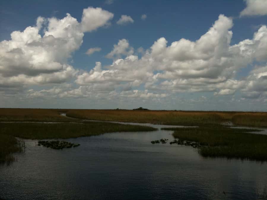 Miami: Original Everglades Airboat Tour & Interpretive area - Boarding the airboat: timing, frequency, and what the ride really means