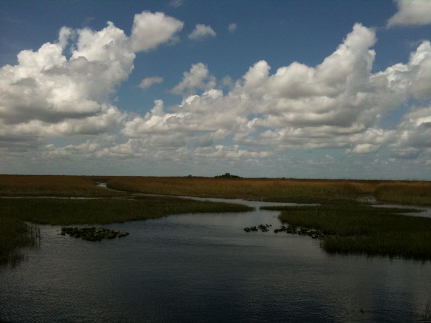 Miami: Original Everglades Airboat Tour & Interpretive area - The River of Grass route: sawgrass prairies, hardwood hammocks, and alligator holes