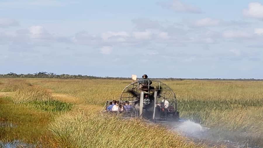 Miami: Original Everglades Airboat Tour & Interpretive area - Jojo, the alligator exhibit, and the animal show you should plan for