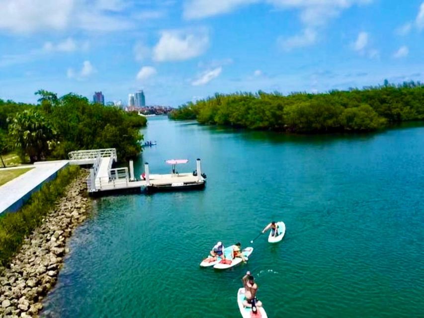 Miami: Paddle Board or Kayak Rental in Virginia Key - Picking paddle board or kayak: what to choose for your comfort
