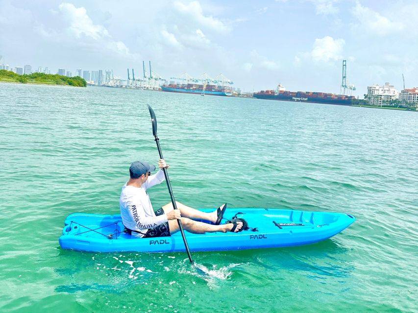 Miami: Paddle Board or Kayak Rental in Virginia Key - Wildlife chances on Lamar Lake: manatees in season, more everywhere else