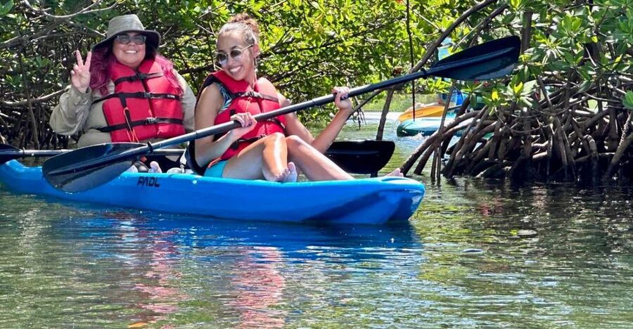 Miami: Paddle Board or Kayak Rental in Virginia Key - Swimming and downtime: how to use the hour without burning out