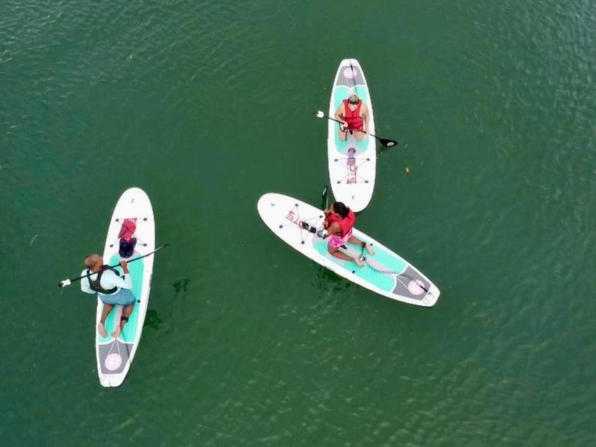 Miami: Paddle Board or Kayak Rental in Virginia Key - Getting to Virginia Key Beach Park (and finding the rental signs)