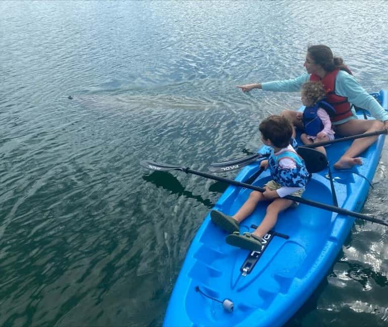 Miami: Paddle Board or Kayak Rental - PADL Beach Club - Lamar Lake to Biscayne Bay: how the route creates variety