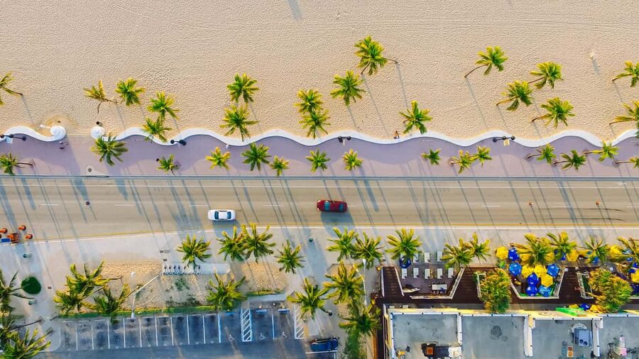 Miami Premium Driving Night Tour with Skyviews Wheel Ride - Hotel Pickup, a Small-Group Van, and Your Guide’s Role