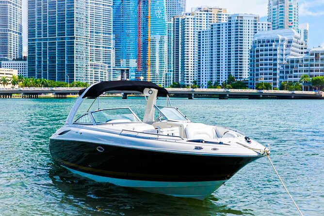 Miami Private Boat Cruise & Tour with a Captain - Stop 2: Bayside Marketplace, Ferris Wheel, and Riverfront Angles