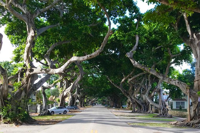 Miami Private City Tour Off The Beaten Path - Miami River: Brickell versus Downtown, with the Tequesta thread