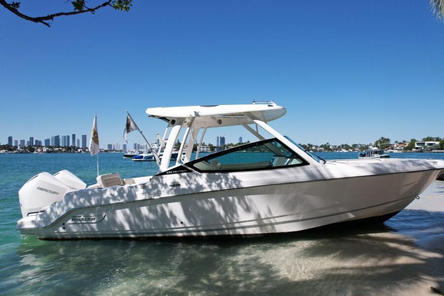Miami: Private Star island, Miami Skyline & Miami River Tour - Key Things You’ll Notice on This Private Miami Boat Tour