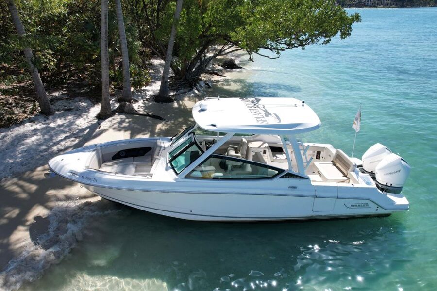 Miami: Private Star island, Miami Skyline & Miami River Tour - Price and Fees, Is This Good Value for Miami?
