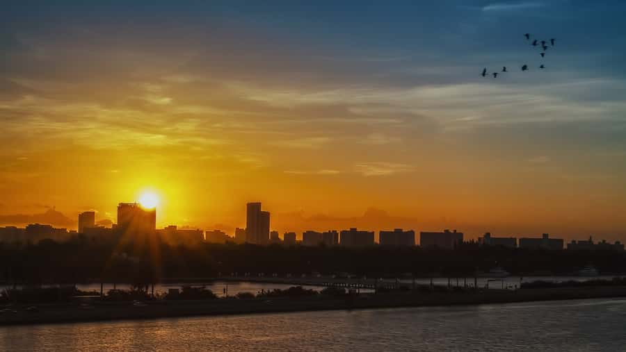 Miami: Private Sunset Helicopter Tour - What you can spot from above: ocean wildlife and the celebrity-island feel