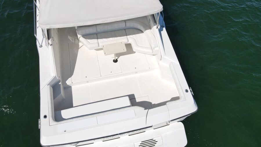 Miami: Private Yacht Rental Tour with Dolphins and Snorkel - Dolphins, Turtles, and Manatees: How to Make Marine Life Watching Work