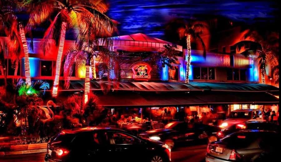 Miami Pub Crawl + Clubbing Experience - Who should book this Miami pub crawl, and who might not love it
