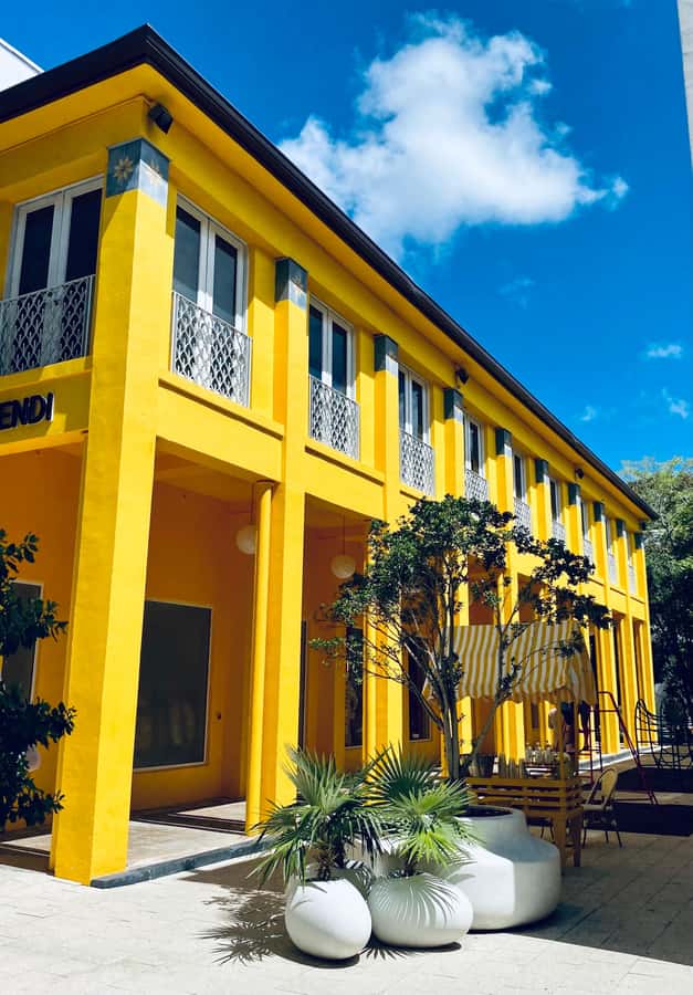 Miami's 3 iconic neighborhoods in 3.5h - in French - Taxi vers le Design District: architecture, art et vues à hauteur de regard