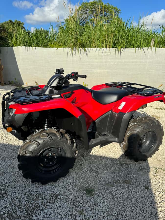 Miami's Ultimate ATV Adventure- Free Passenger & Safety Gear - Safety Gear and Guided Confidence That Makes the Trip Feel Managed