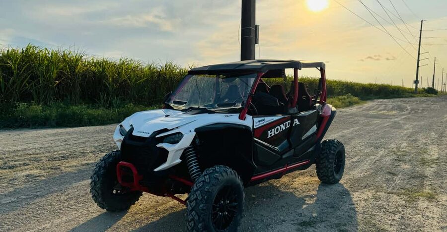 Miami's Ultimate Buggy Adventure on a Honda Talon UTV - Key highlights worth your attention