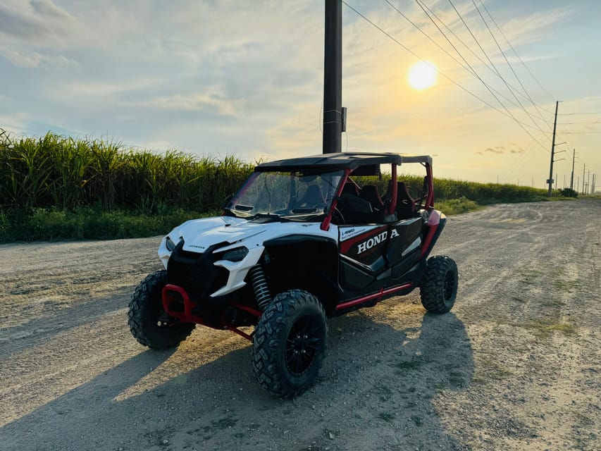 Miami's Ultimate Buggy Adventure on a Honda Talon UTV - The 2024 Honda Talon UTV: what you are really paying for