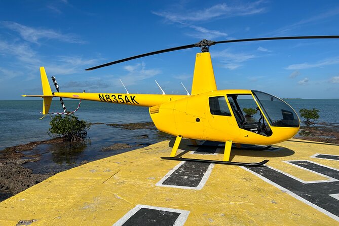 Miami Sightseeing Helicopter Tour Ride things to do Miami Beach - Biscayne Bay marine life: the aerial version of a wildlife tour