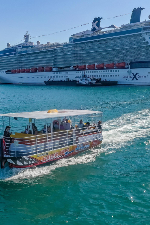 Miami: Skyline Sightseeing Cruise Millionaire Homes & River - What the 100-minute catamaran ride feels like