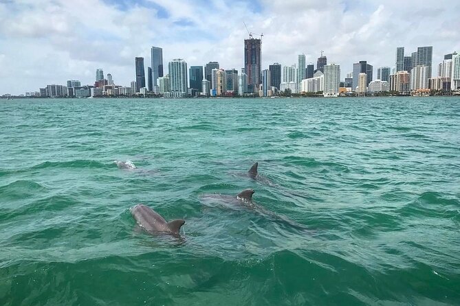 Miami Small Group Boat Tour: History, Wildlife, and Stiltsville - Miami Bay in a small boat: why this 2-hour format works