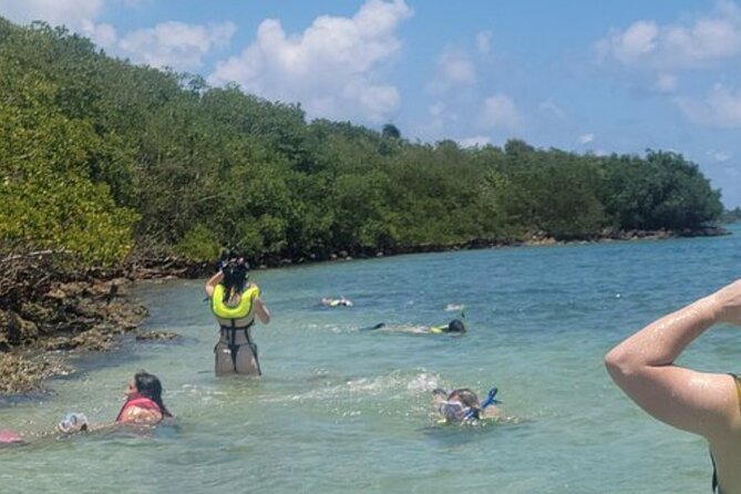 Miami: Snorkeling Adventure in Miami for Beginners Private Yacht - Price Reality Check: Is $299 Worth It?