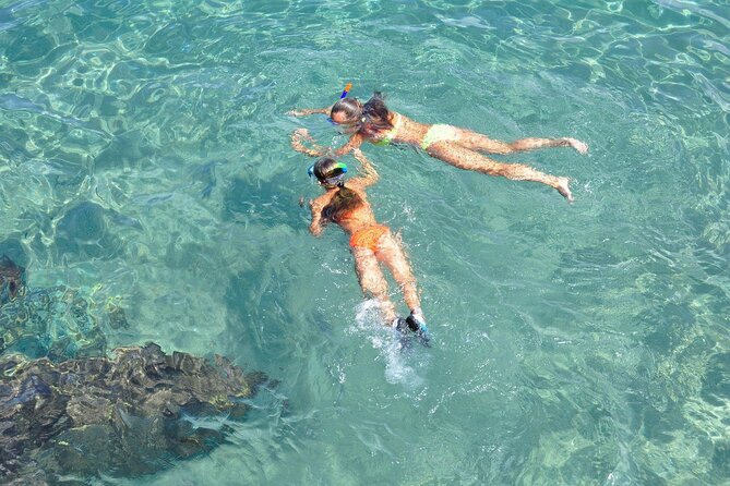 Miami: Snorkeling Experience - What’s Included, What You Need to Bring, and Why It Matters