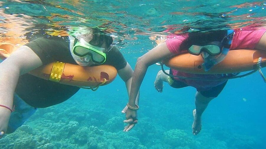 Miami Snorkeling for Beginners from Bayside Market Place - Key highlights at a glance