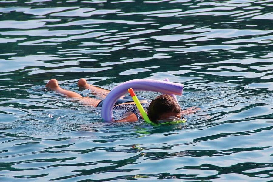 Miami Snorkeling for Beginners from Bayside Market Place - Biscayne Bay and a private sandbar in just 1.5 hours