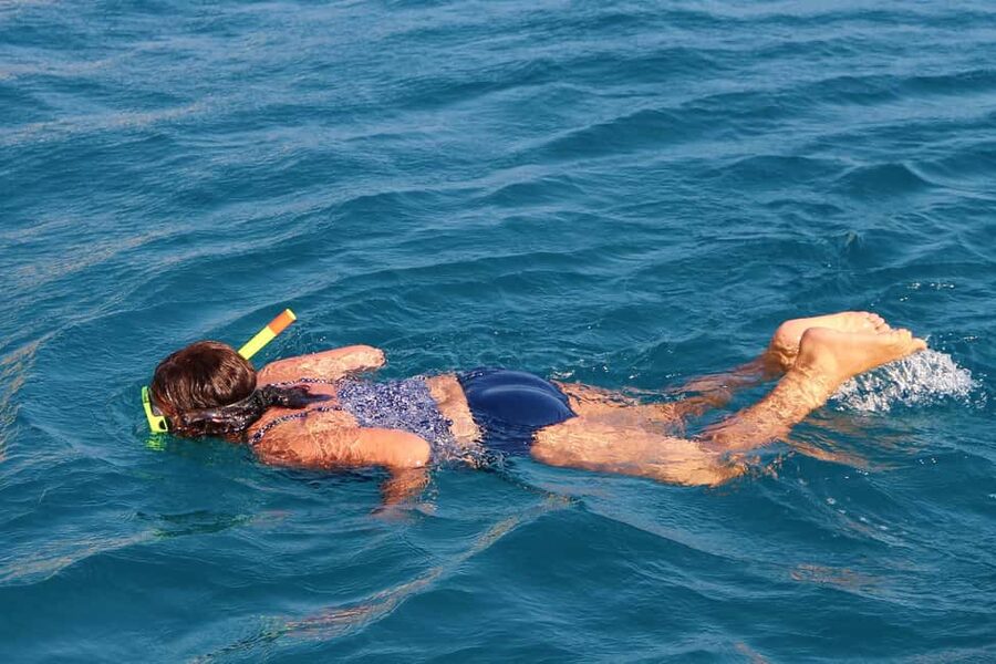 Miami Snorkeling for Beginners from Bayside Market Place - Swimming, sunbathing, and the timing reality