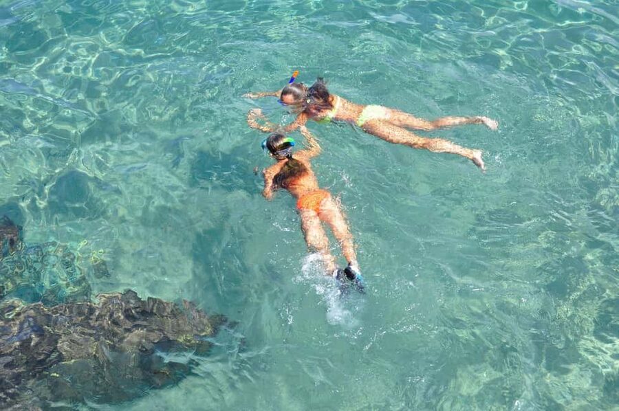 Miami Snorkeling for Beginners from Bayside Market Place - Bayside Marketplace check-in at Water Taxi Miami