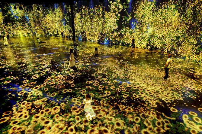 Miami: Superblue Miami Immersive Art Experience Ticket - Superblue Miami Timed Entry and One-Way Flow