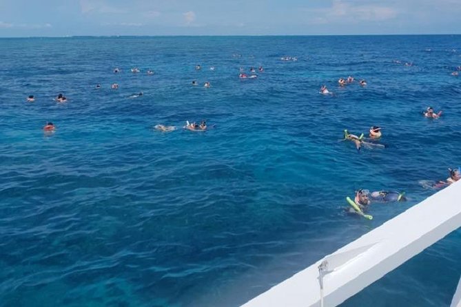 Miami to Key West Day Trip Transportation - Price and value: what $49 actually buys you