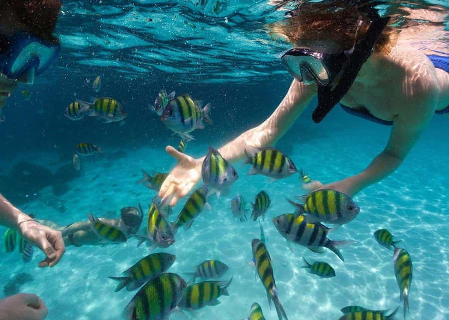 Miami to Key West Day Trip with Optional Activities - Key West in your control: 6 hours that feel like real exploring