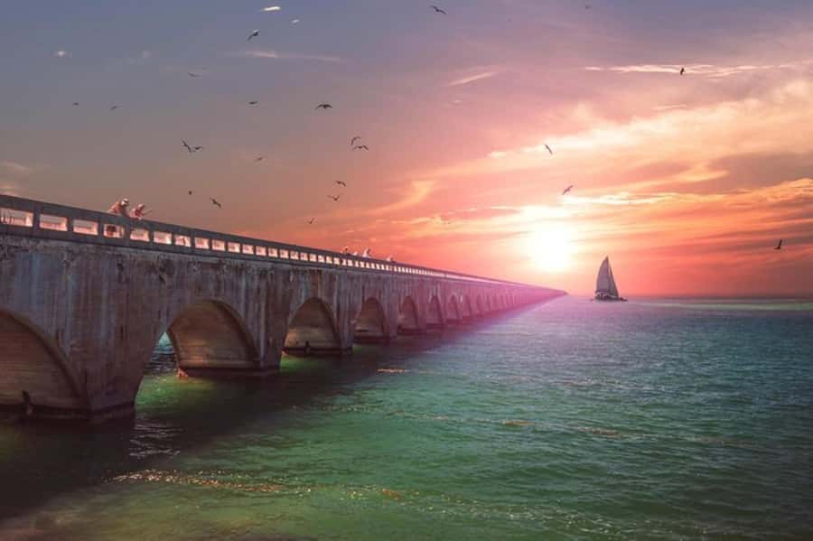 Miami to Key West Day Trip with Optional Activities - What the full day feels like, hour by hour