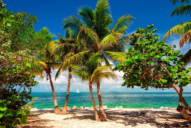Miami to Key West Overnight Round-Trip Transfer - Who this transfer fits best (and who should think twice)